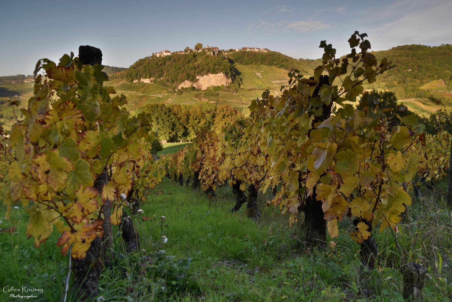 Gite Le Douglas, Vignoble Et Reculees Du Jura - Avec Sauna Lavigny Buitenkant foto
